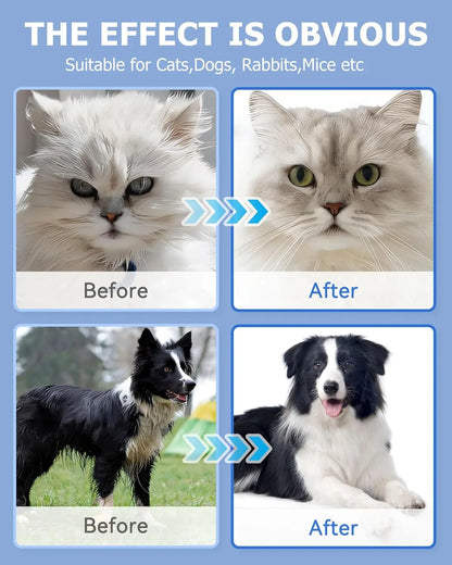 S1088a312e31d486187e7739d4b8143e5r