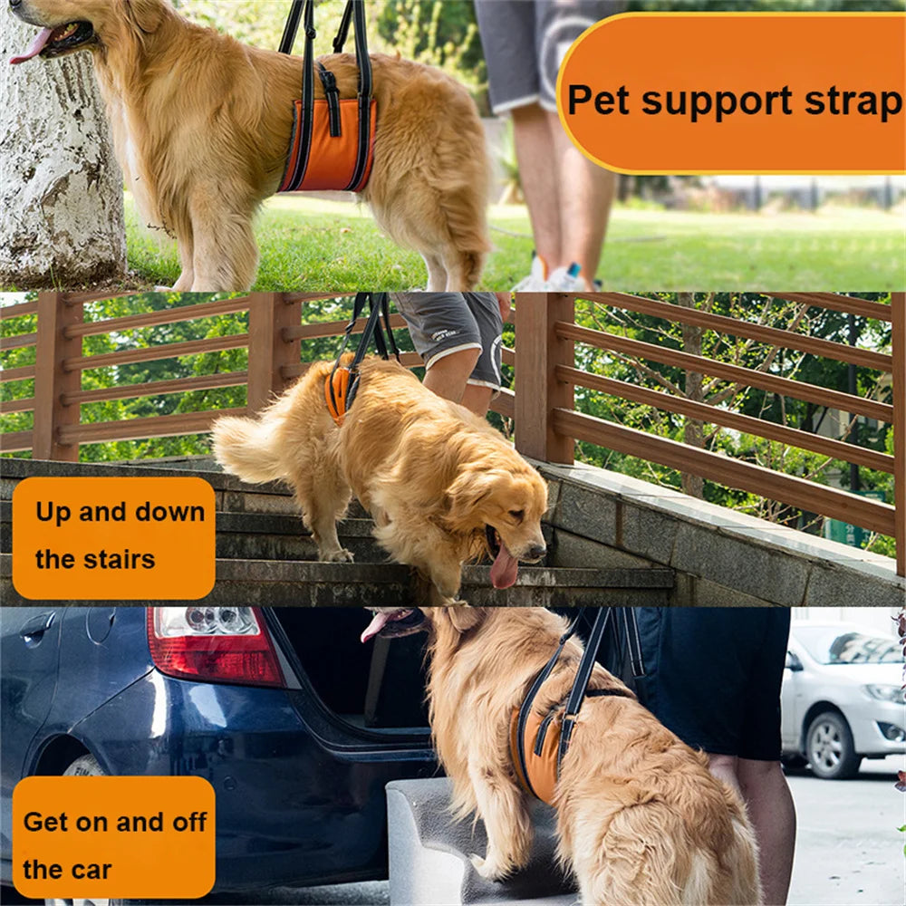 S13d13ca10def46b2a9b50db26e333d60C