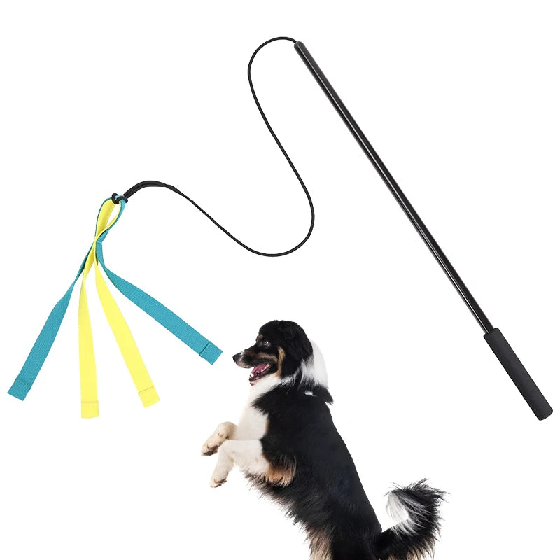 S3559d69bf1054e7688c78da2c61bdf126