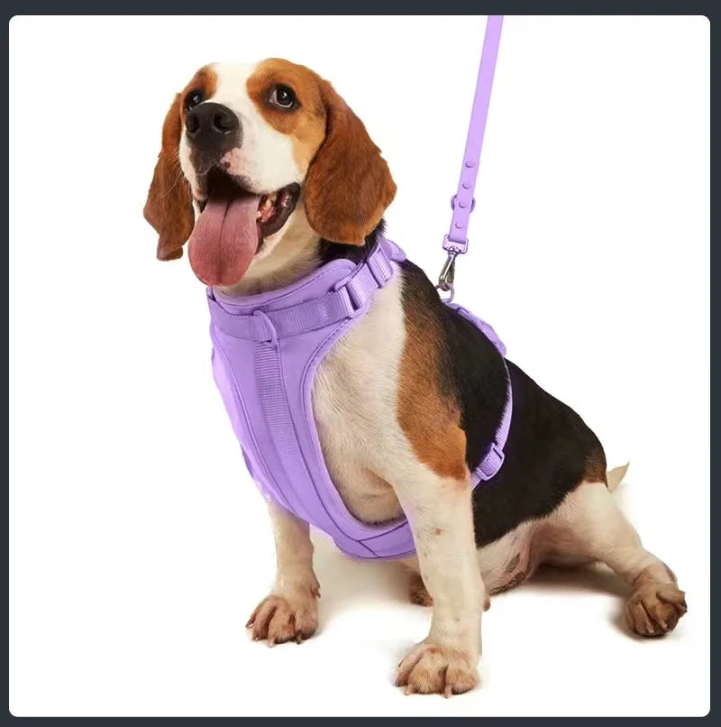 S3a485d825b3548cfb1019ad664664c2c6