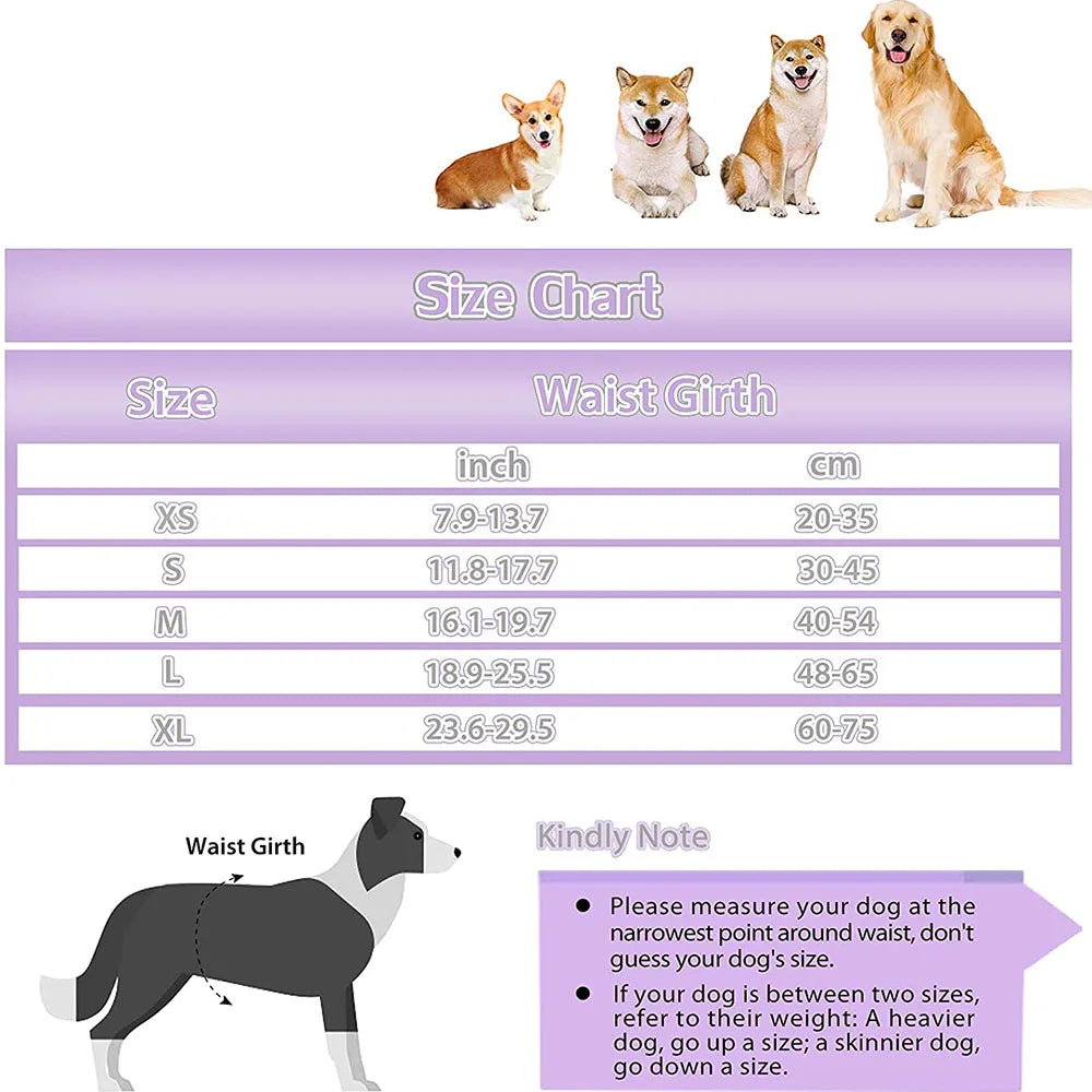 S3aadd25c9ac942778777d80f44198f89c