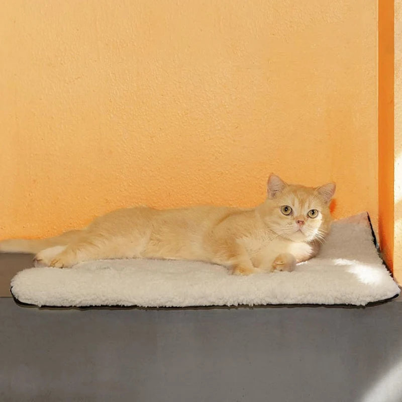 S45138bbc5dd54b06b2447134906e04der