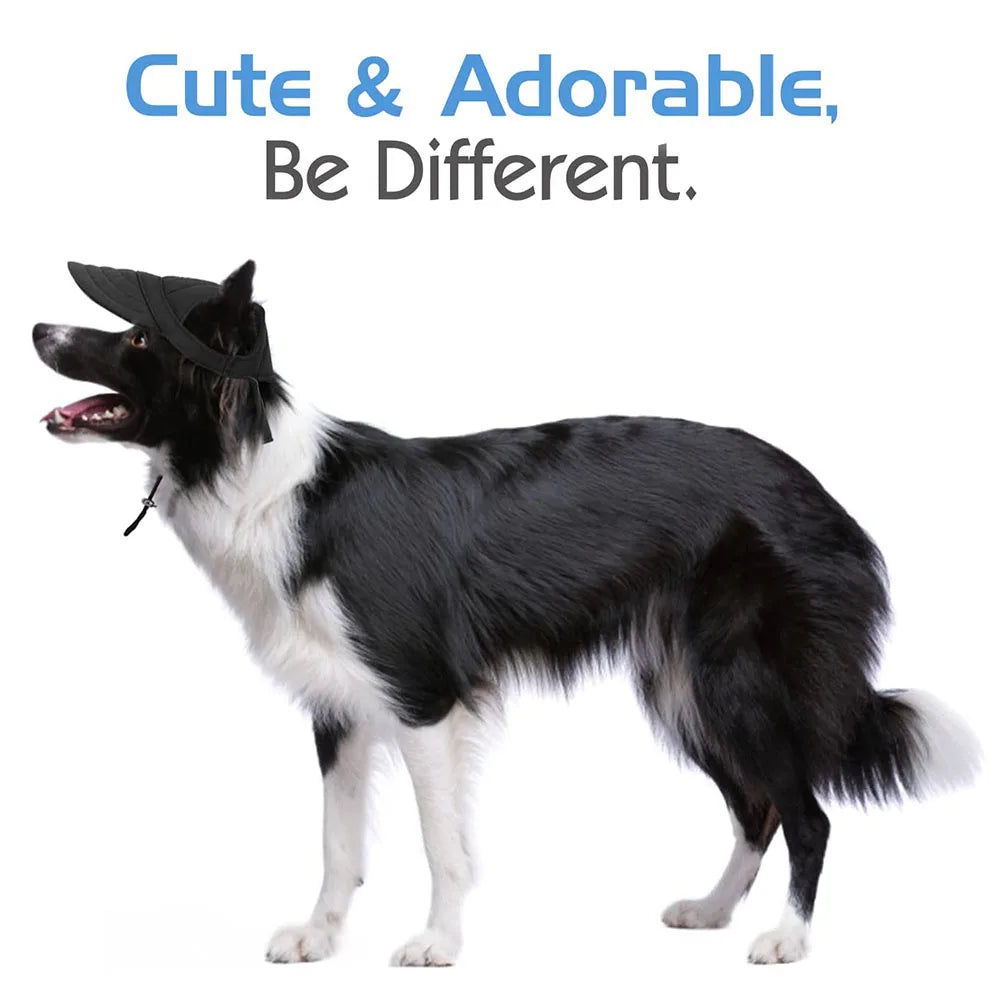 S5fa1921fcce1469590efd818a8a56b13w