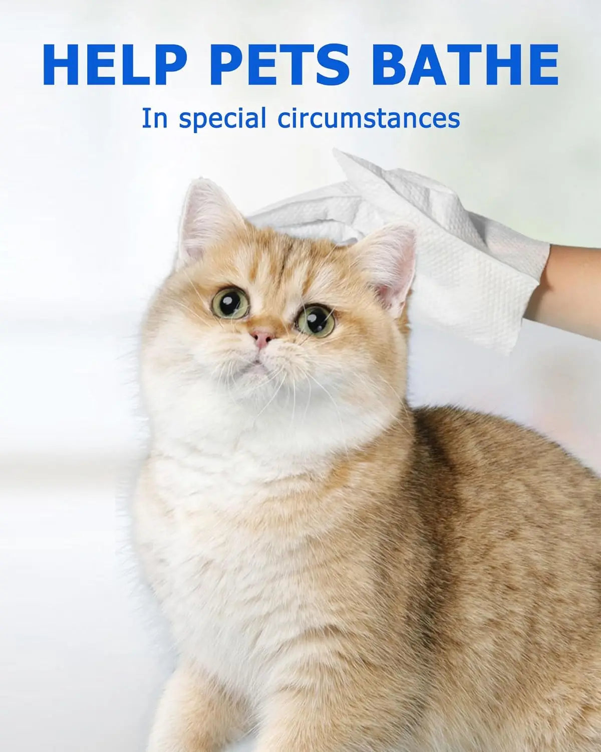 S61b5c8ed23f94a7d8c15e9a52c235594L