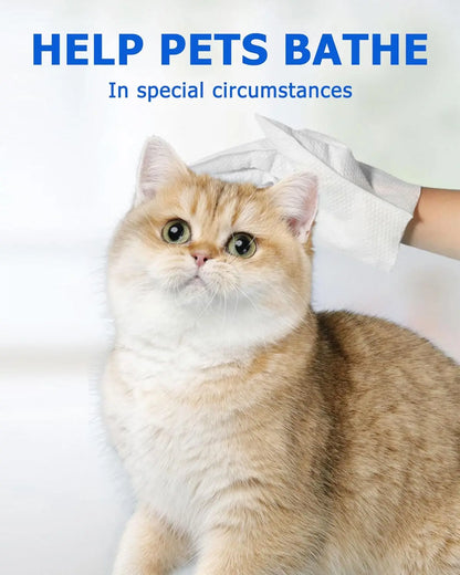 S61b5c8ed23f94a7d8c15e9a52c235594L