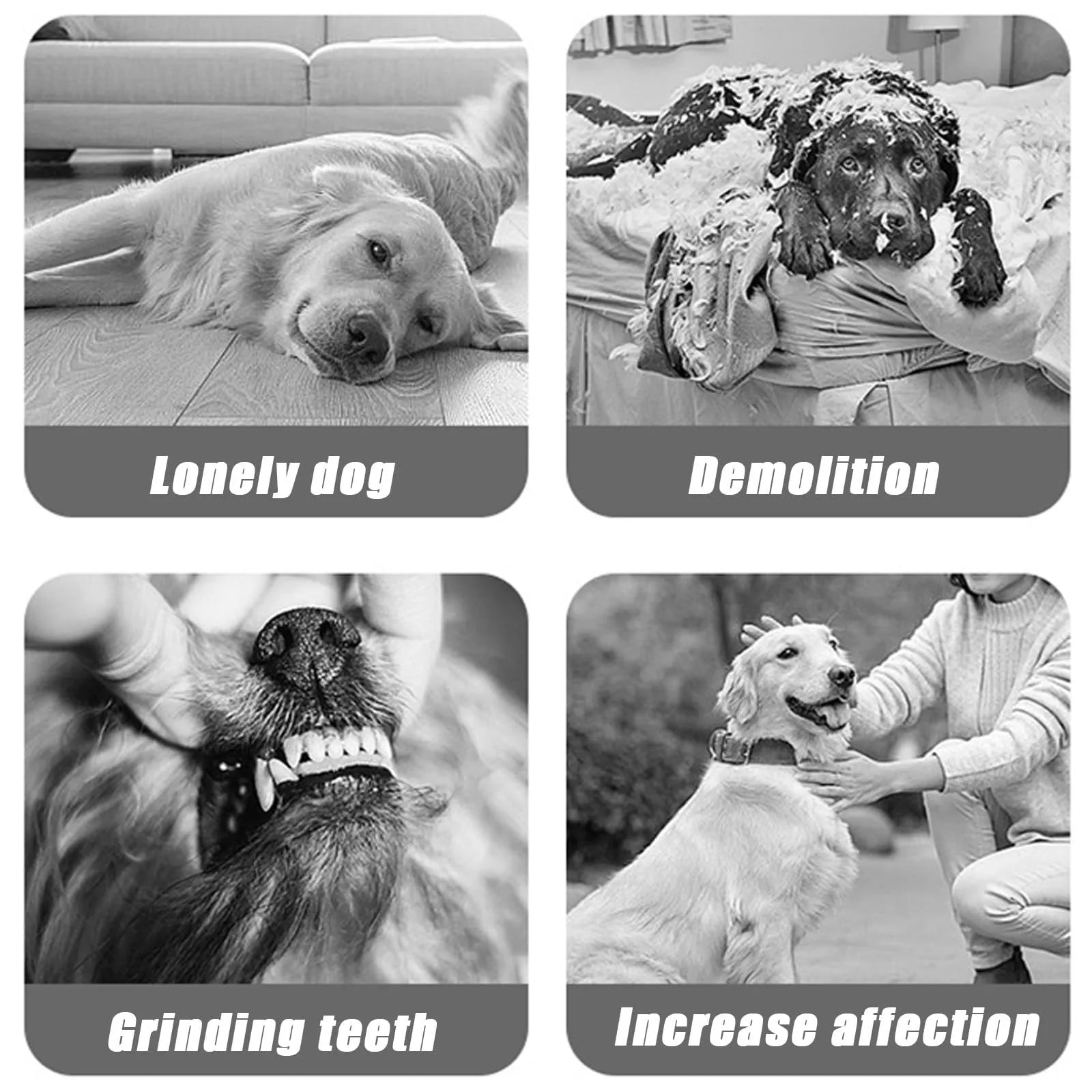 S7a1d76a34c324531af0d8dc5025208756