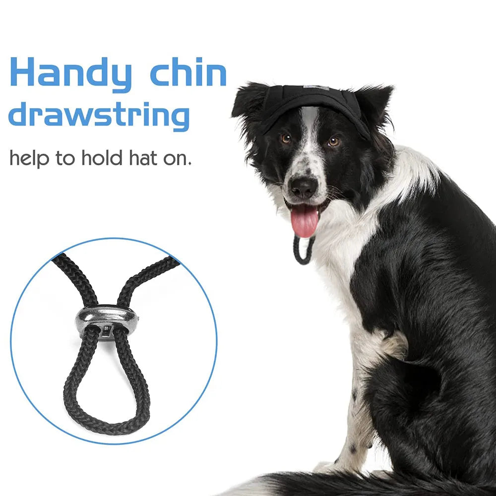 S8a2f1b284cdd480e84bacc65b924b53dY