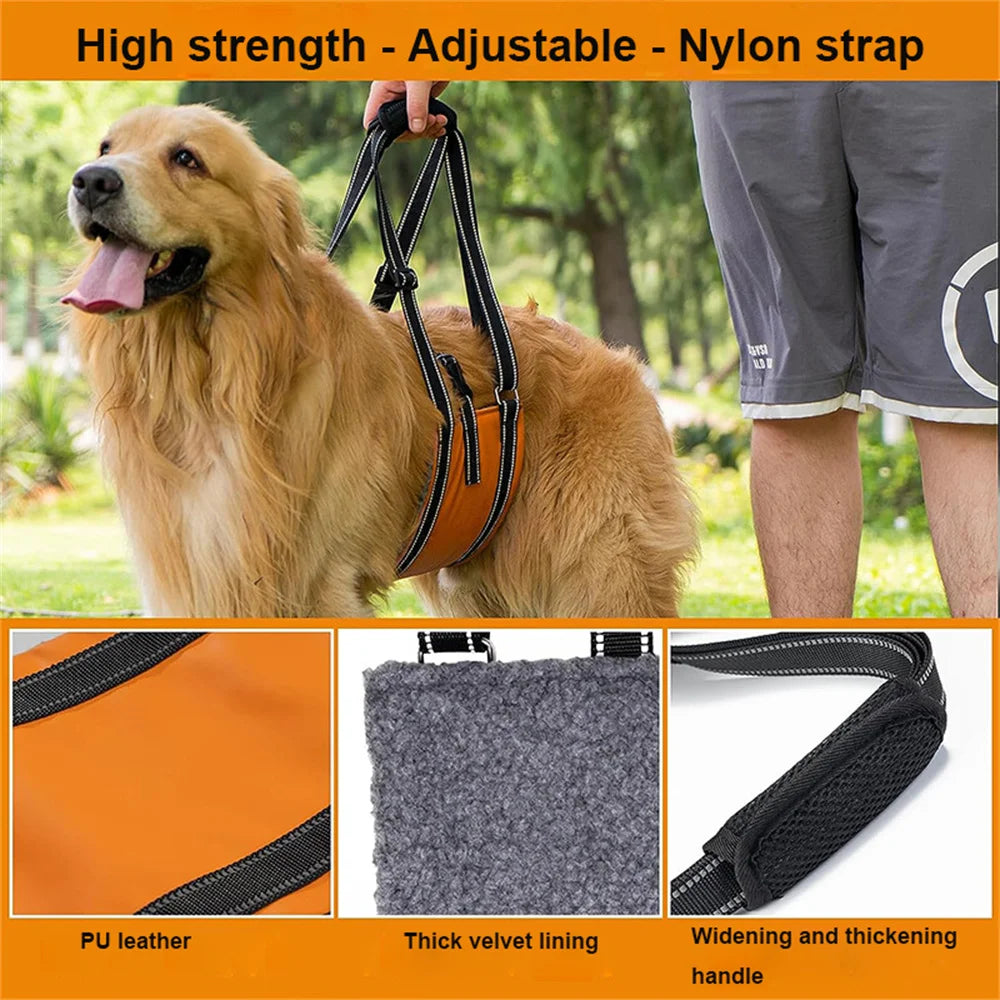 S8d562d1a1a23494fbb9f553d842ee94aw