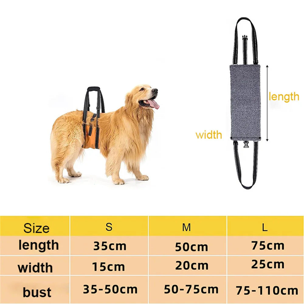 Saca36946e78b4a64b4f41fa8f9a96dc0D