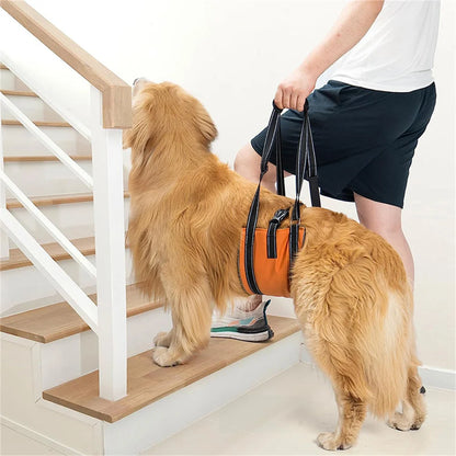 Sb29fa9c2585c4b54b480473c4698e50aR