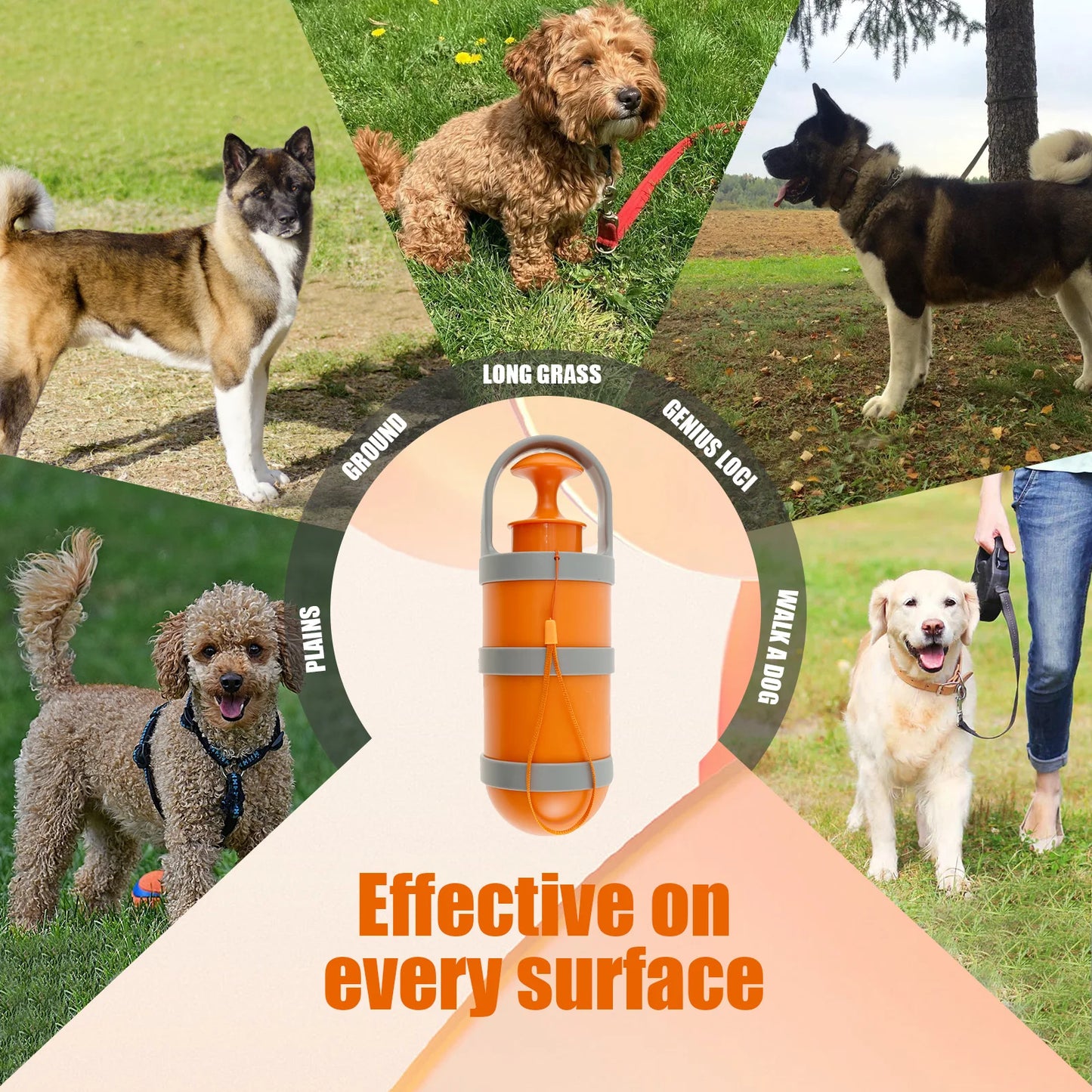 Sd0b176362c4c4d389e86002b2bc5f486N